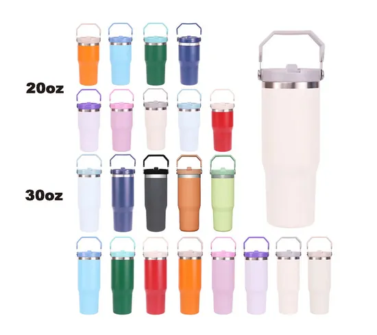 20 Oz 30 Oz Double Wall Stainless Steel Vacuum Thermo Flask with Handle Lid for Travel Gym 